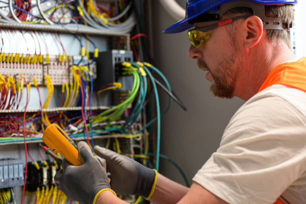 Best Electric Panel Repair  in Mullica Hill, NJ
